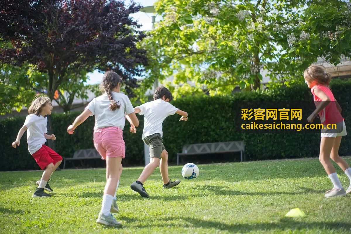 彩客网官网胜负彩彩种介绍