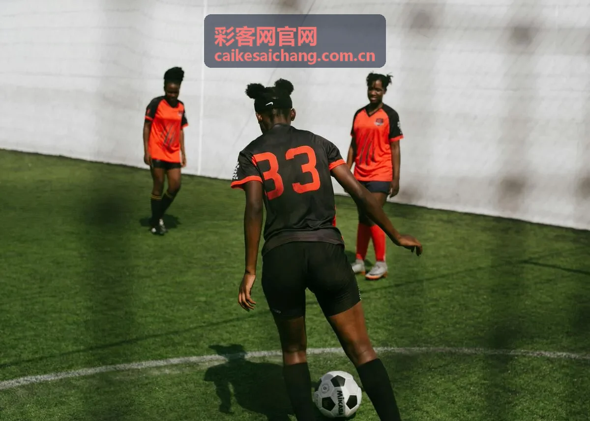 彩客网官网数据分析专题封面